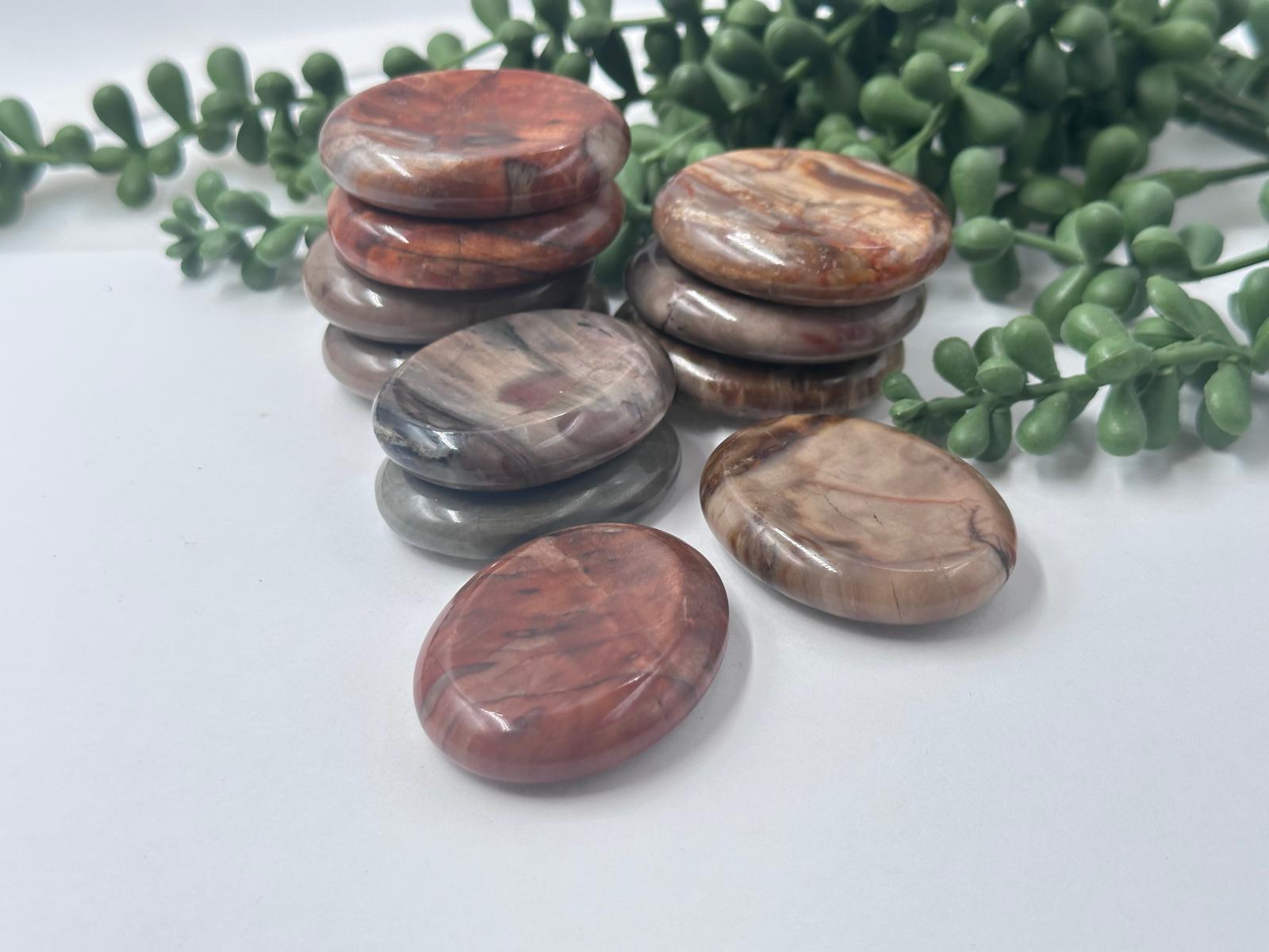 Petrified Wood Worry Stones 45x35x10MM