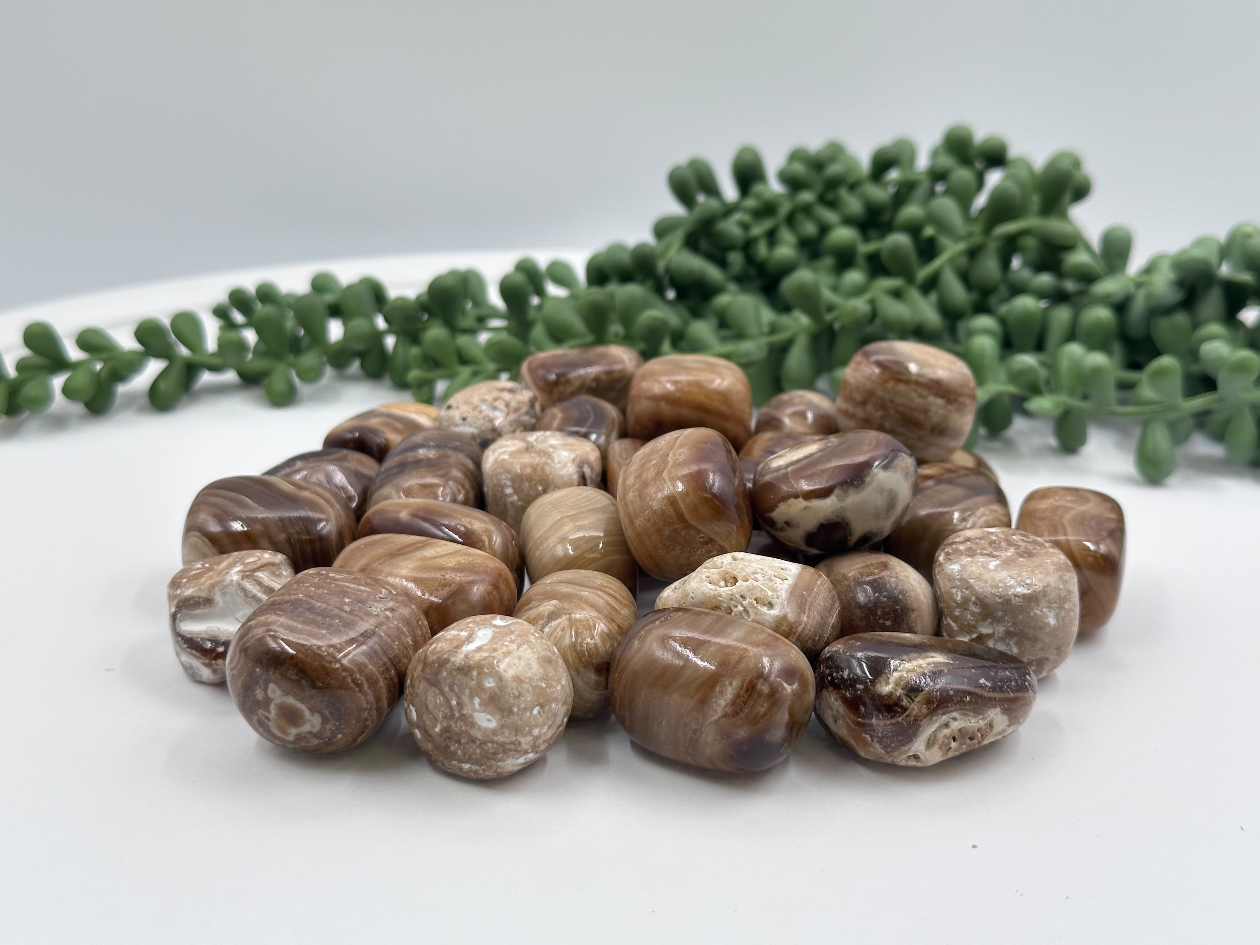 Chocolate Calcite Tumbled 22-25mm