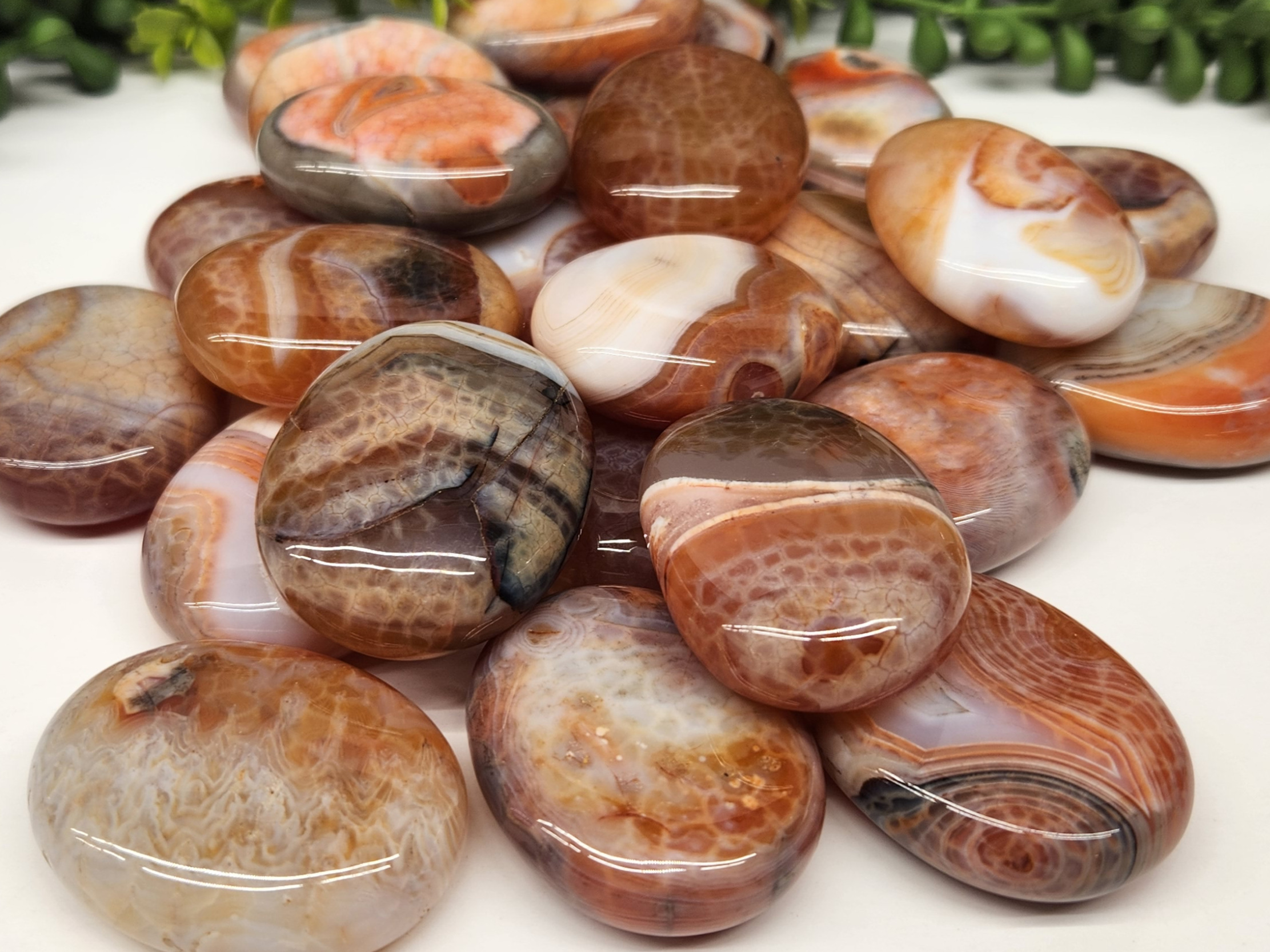 Fire Agate Palm Stones 0.5KG or 1.1 Lbs