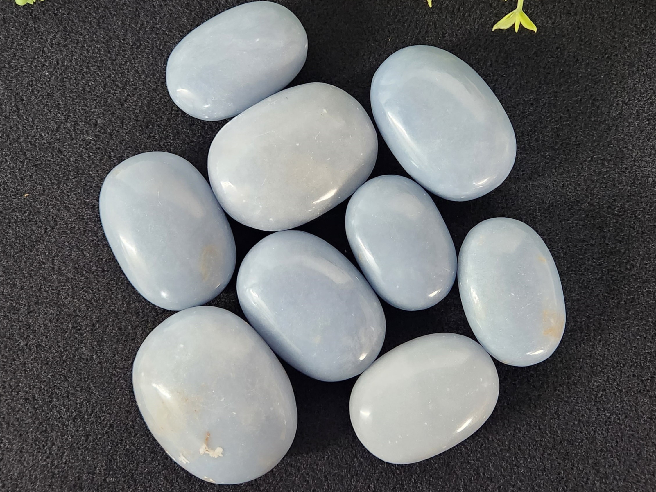 Angelite Palm Stones