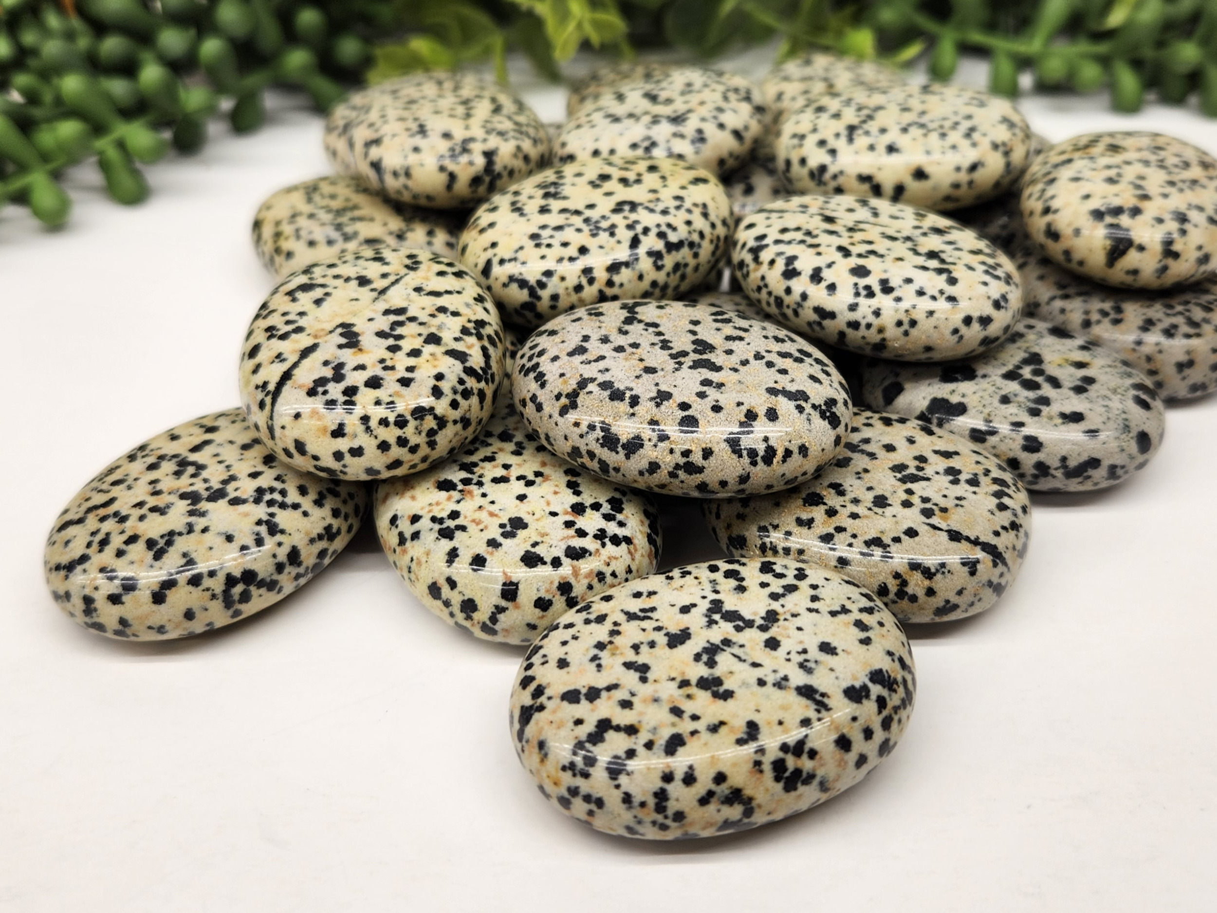 Dalmatian Jasper Palm Stones
