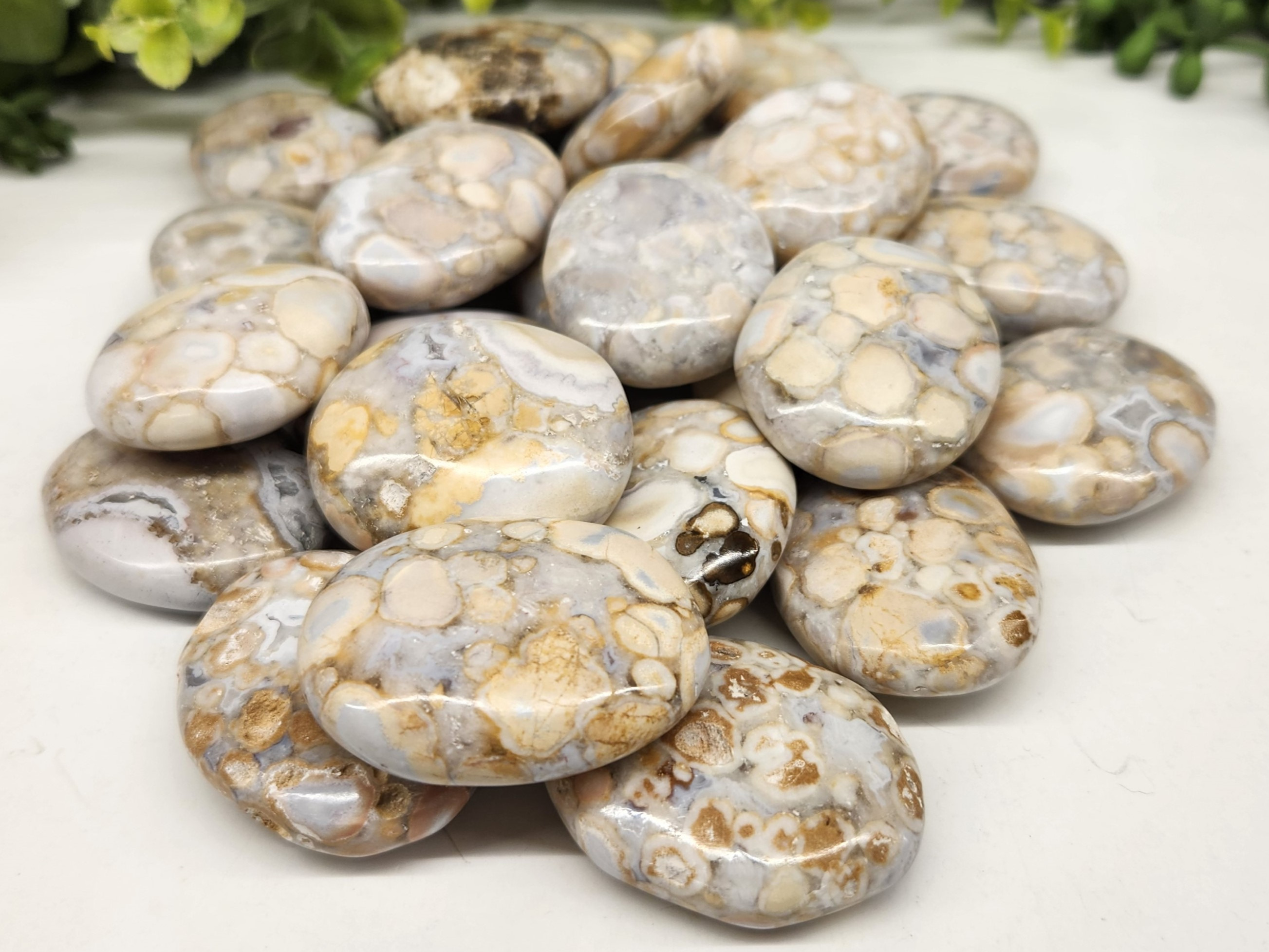 King Cobra Jasper Palm Stones /Pillow shape