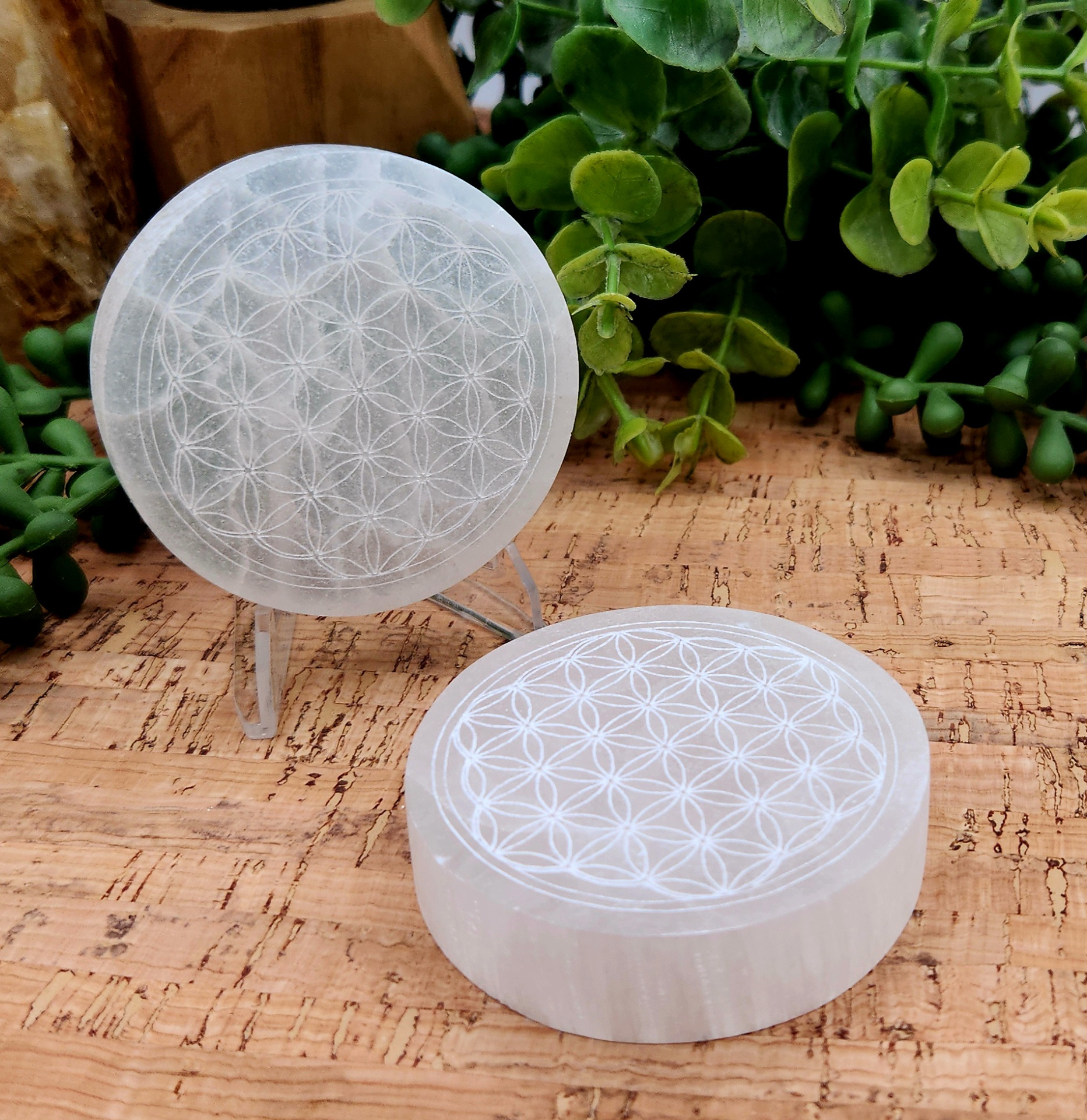 Selenite Charging Plate Round - Flower of Life 6CM