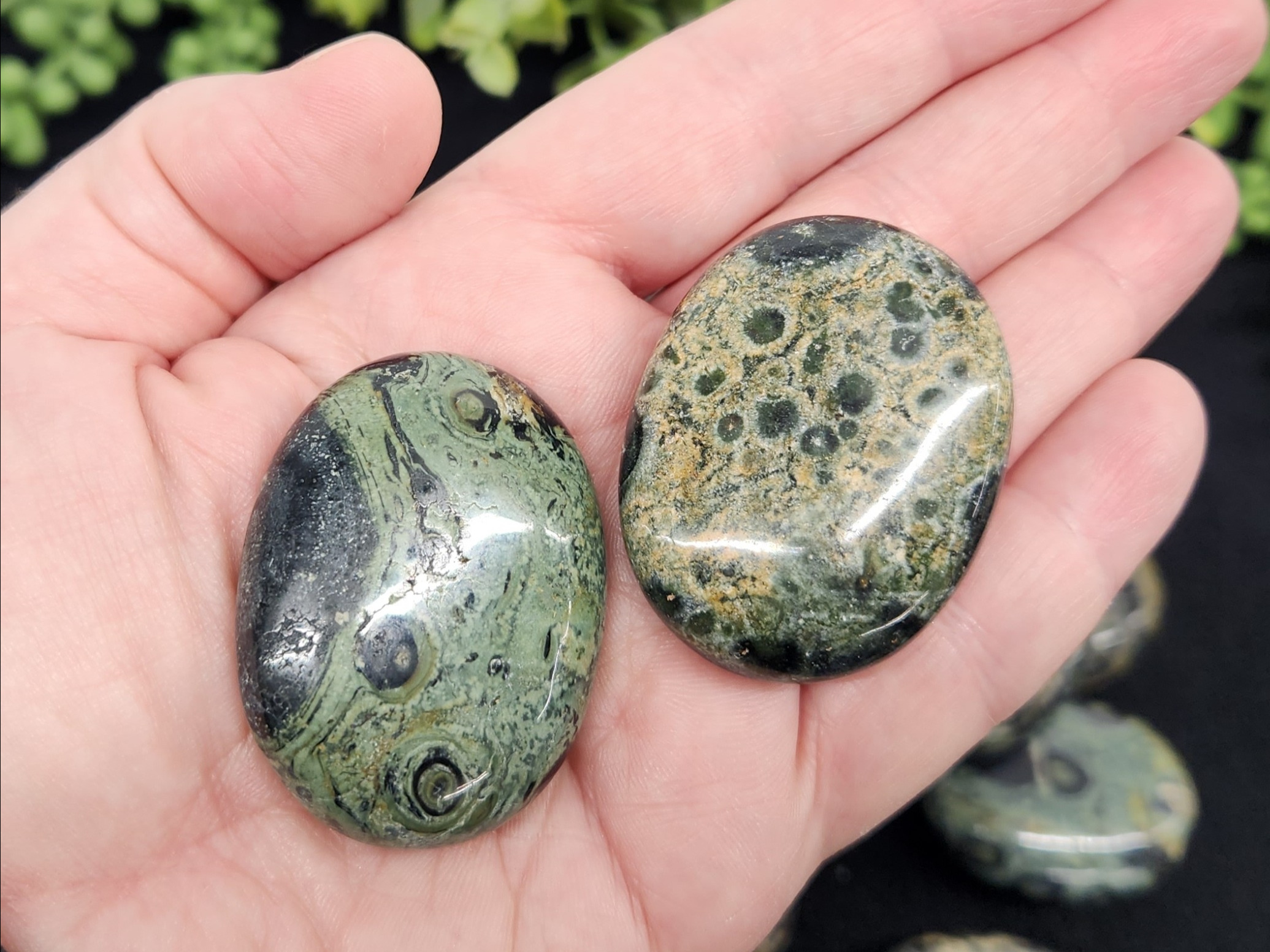 kambaba Palm Stones 1Kg Bg